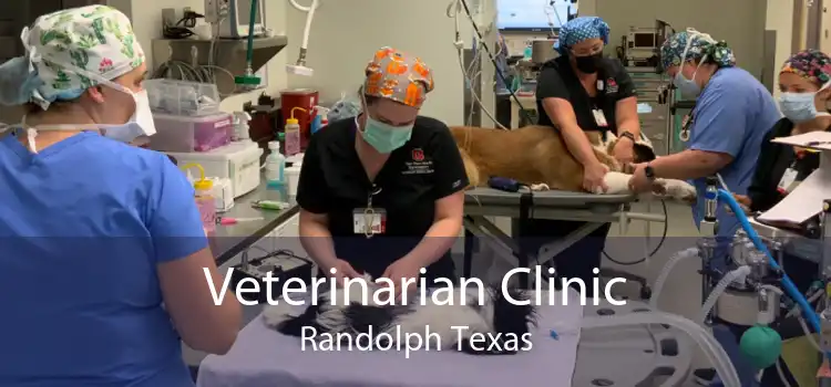 Veterinarian Clinic Randolph Texas