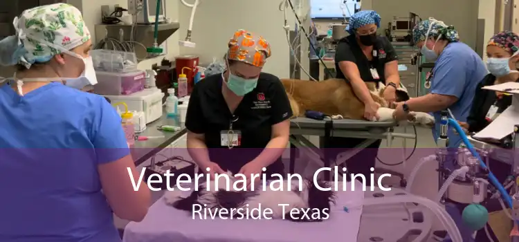 Veterinarian Clinic Riverside Texas