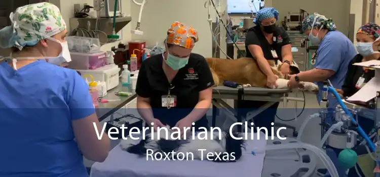 Veterinarian Clinic Roxton Texas