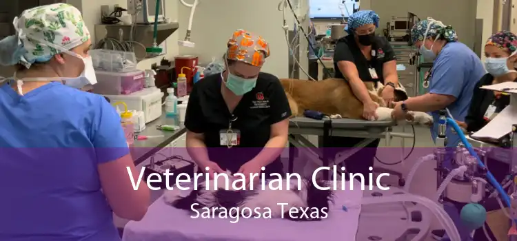 Veterinarian Clinic Saragosa Texas