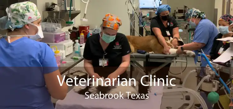 Veterinarian Clinic Seabrook Texas