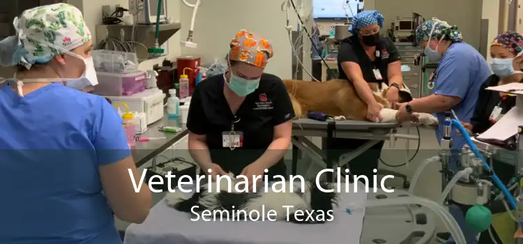 Veterinarian Clinic Seminole Texas