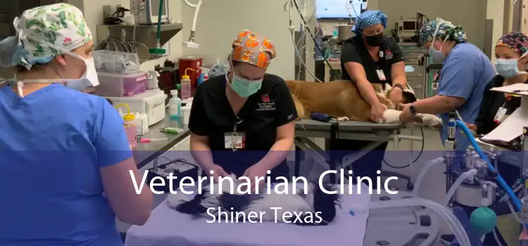 Veterinarian Clinic Shiner Texas