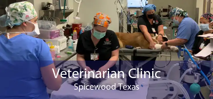 Veterinarian Clinic Spicewood Texas