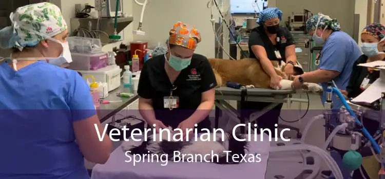 Veterinarian Clinic Spring Branch Texas