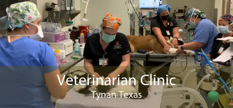 Veterinarian Clinic Tynan Texas