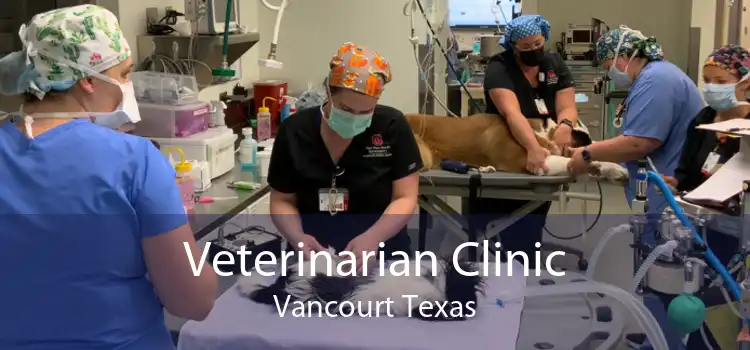 Veterinarian Clinic Vancourt Texas