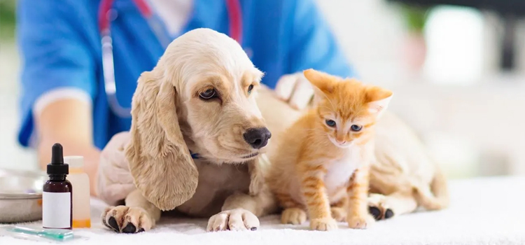 Panhandle Pet Vaccination Clinic